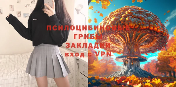 эйфоретик Алзамай