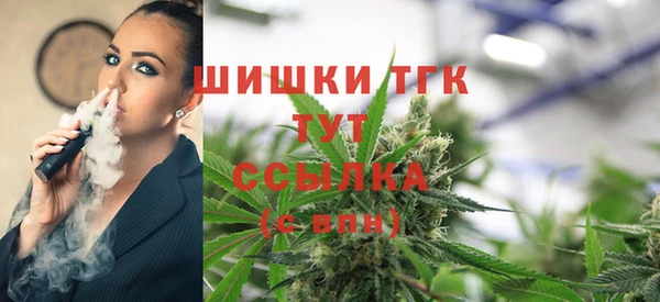 спайс Алексин