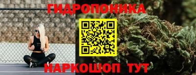 наркотики Заводоуковск