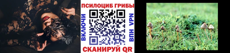 Галлюциногенные грибы прущие грибы  Ленинск-Кузнецкий 