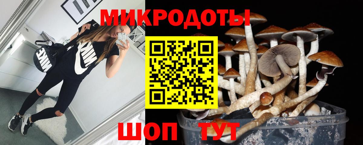 наркота  Псилоцибиновые грибы Psilocybe  Вход с VPN  Ленинск-Кузнецкий 